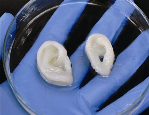 簡述3D打印技術(shù)在醫(yī)療行業(yè)應(yīng)用情況_e鍵3D打印服務(wù)