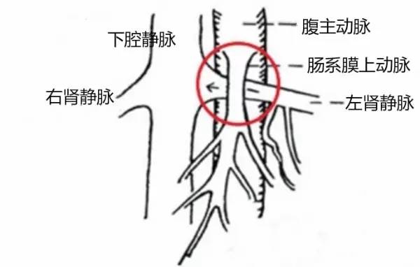 第四軍醫大學精彩分享個性化醫療3D打印的實戰案例與研究成果 第四軍醫大學精彩分享個性化醫療3D打印的實戰案例與研究成果
